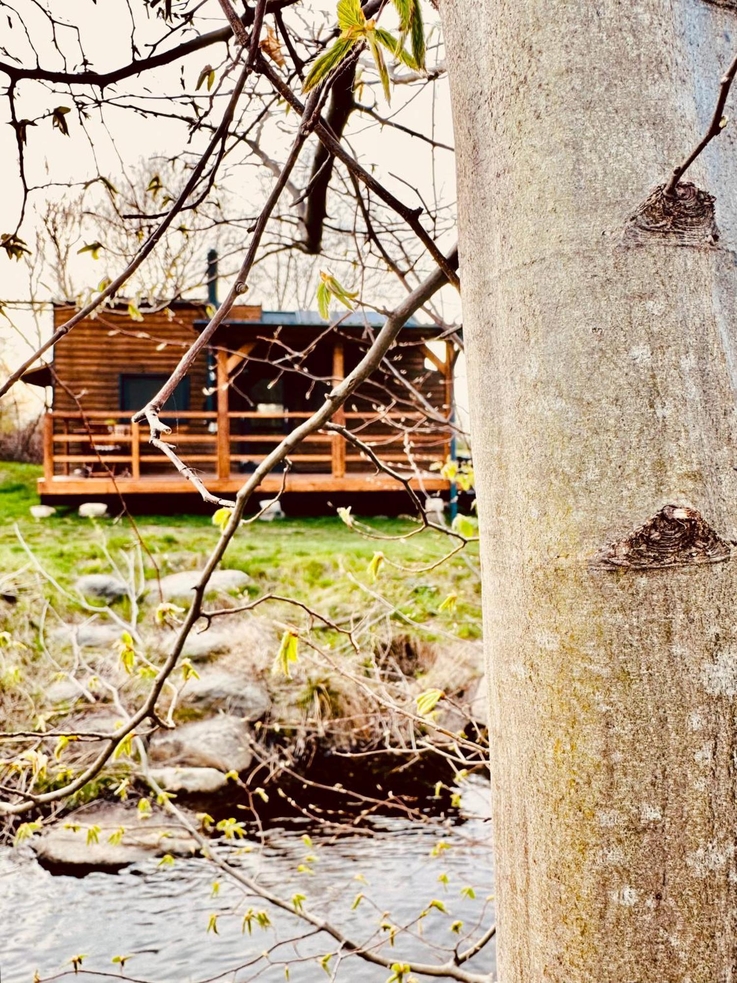 Tiny Home Dejani Dış mekan fotoğraf